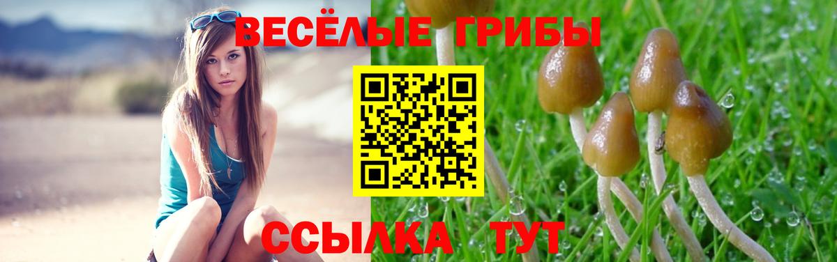 Псилоцибиновые грибы мицелий  Вход с VPN  Тулун 